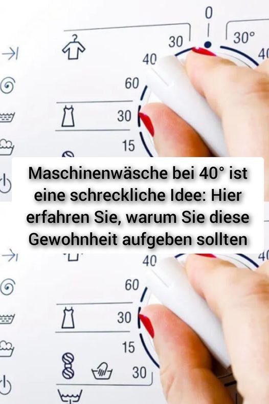 456859190 122195640308033911 59556857657575063 N