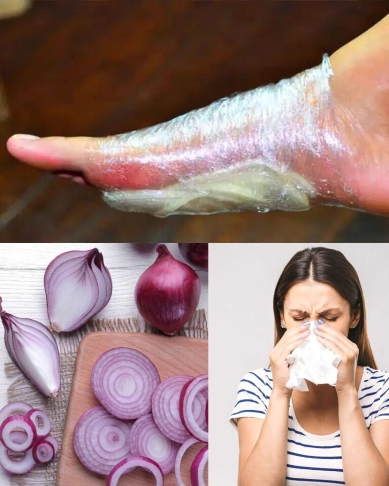 457694743 122184335792079142 8477379490683671833 N 819x1024