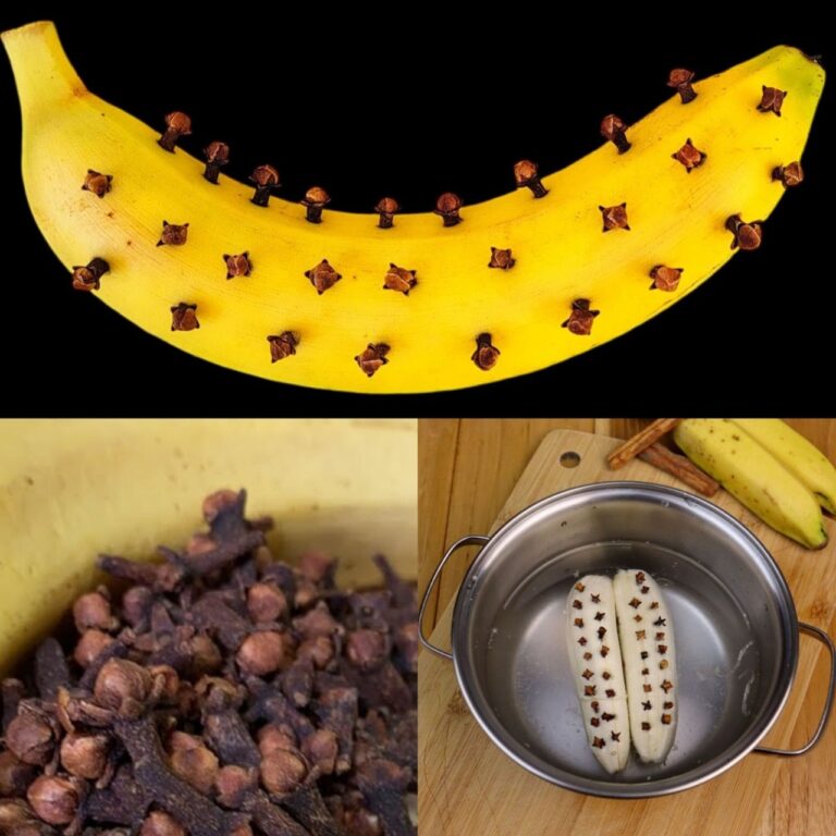 473798608 122182902656092153 4392392674157054959 N 768x768 1