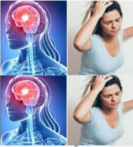 494090130 122228469866038596 8325628073392838725 N