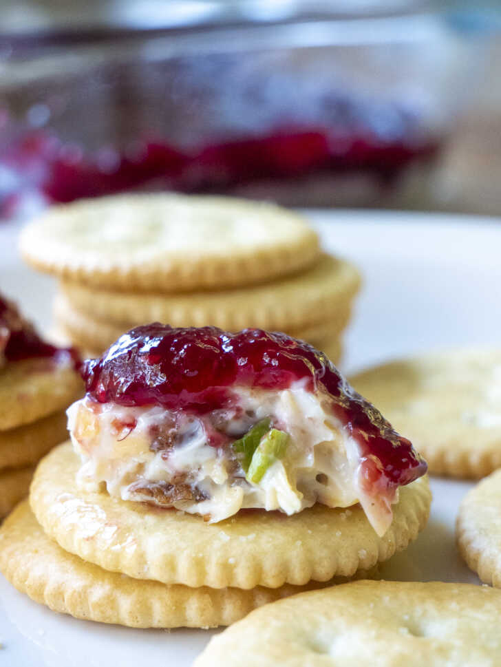 Raspberry Dip Vertical 13 728x969 1 (1)