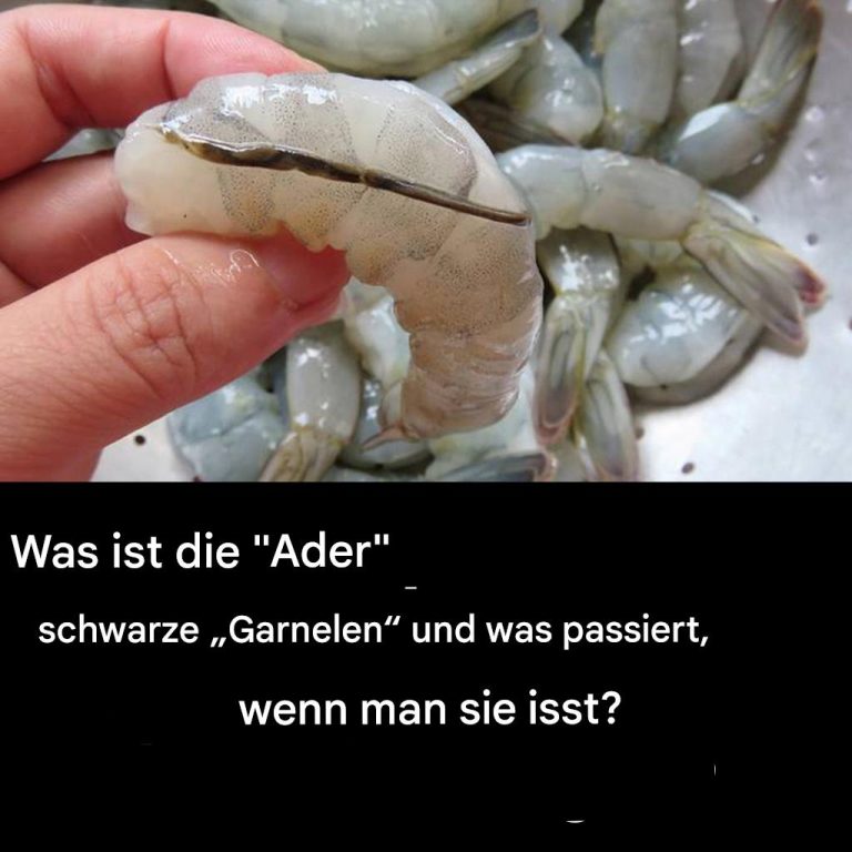 496865993 1103180981846476 2980445192824122862 N.translated 1 (1)