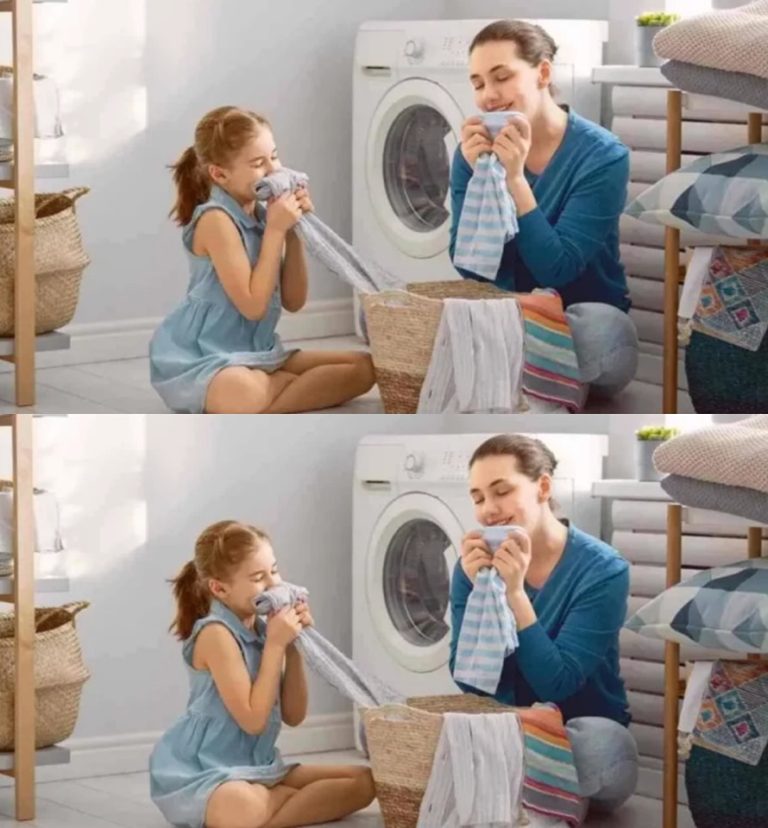498621872 122232106304038596 299657808607099510 N 768x828